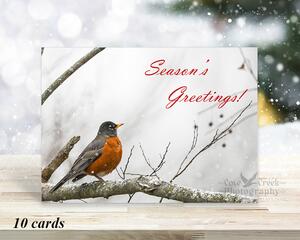 Nature aesthetic Christmas cards with an American Robin in the snow and sold exclusively by Cove Creek Photography.